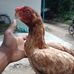 Profile Picture of Paul Vivek (@paul.vivek.716) on Facebook