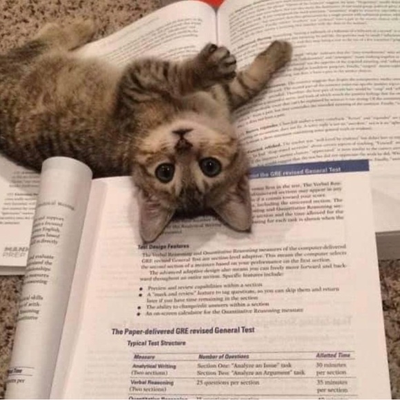 Profile Picture of Fiona Wong (@fyonnar) on Poshmark