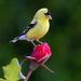 Profile Picture of Tomas Garcia (@gtomas1111) on Pinterest