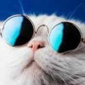 Profile Picture of Kaleb Knight (@kalebknight3991) on Youtube