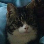 Profile Picture of Lisa Munns (@munns.lisa) on Instagram