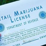 Profile Picture of Manfred Wolfgang (@manfredworlf) on Instagram