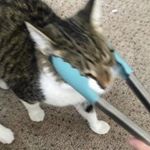 Profile Picture of Jase Mercer (@jase_that_emo_guy) on Instagram