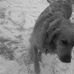 Profile Picture of Lilly Sage (@lilly.sage.75) on Facebook