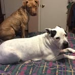 Profile Picture of Michelle Crutcher (@michelle.crutcherB) on Facebook