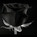 Profile Picture of Birgit Klein (@birgit.klein.127) on Instagram