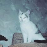 Profile Picture of Анна  Шавернева (@shavernevaanna) on Instagram