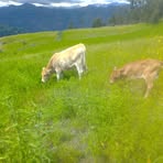 Profile Picture of Edelmiro Vera Castañeda (@edelmiro.veracastaneda) on Facebook