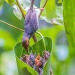 Profile Picture of Mostafa Chowdhury (@_chowdhury_670_) on Instagram