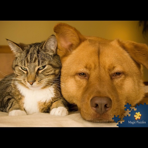 Profile Picture of Jerusalem Abate (@jey517) on Poshmark