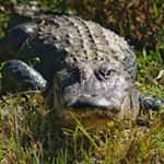 Profile Picture of Ken Klein (@oneofakleinphotography) on Instagram