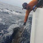 Profile Picture of Austin kalbfleisch (@fishin_the_904) on Instagram