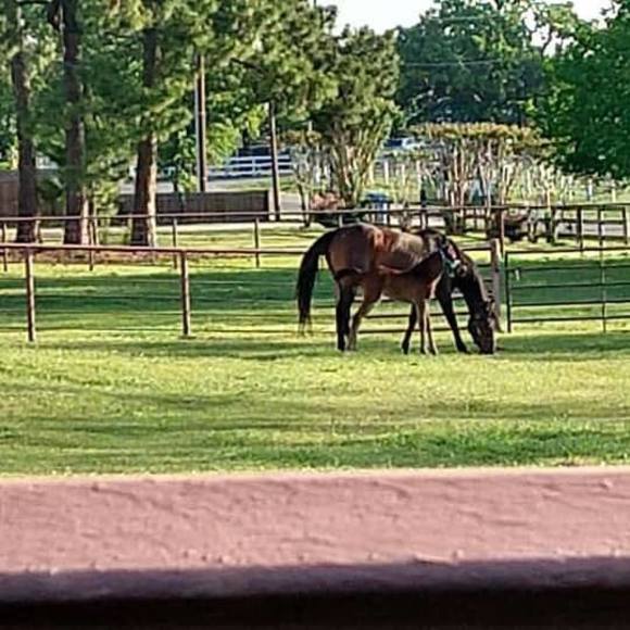 Profile Picture of Daryl Cummings (@darylcummings) on Poshmark