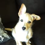 Profile Picture of Pamela Gusha (@pamela.gusha) on Facebook