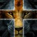 Profile Picture of Joshua Goolsby (@joshua.goolsby.56) on Facebook