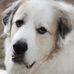 Profile Picture of Tucker Shaffer (@tucker.shaffer.7) on Facebook