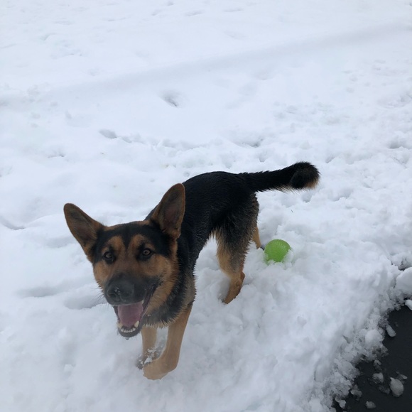 Profile Picture of Marci Garneau (@sugarmag555) on Poshmark