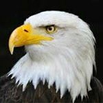 Profile Picture of Samuel Hailu (@hailu1022) on Instagram