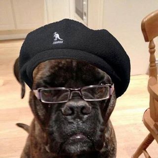 Profile Picture of Jacob Cantor (@jacob.cantor.75) on Facebook
