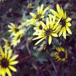 Profile Picture of Joseph Perno (@josephperno) on Instagram