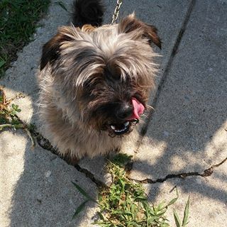 Profile Picture of Ada Torres (@Ada-Torres) on Facebook