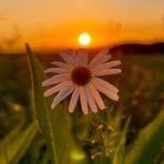 Profile Picture of Ĵames Țĥanĝ Ńu (@Ĵames-Țĥanĝ-Ńu) on Facebook