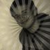 Profile Picture of Thomas Lepert (@thomas.lepert.1) on Facebook