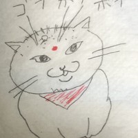 Profile Picture of Priyanka Cheng (@priyanka-cheng) on Quora