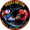 Profile Picture of 🦜adam_betta🦜 (@pedubetta) on Tiktok
