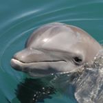 Profile Picture of haley nichole rushing (@haleynicholerushing) on Instagram