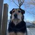 Profile Picture of Bob Marro (@bob.marro.1) on Facebook