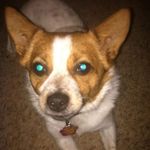 Profile Picture of beth cates (@beth.cates3) on Instagram