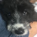 Profile Picture of Ruby: Photography Acc (@ruby.bradshaw_ryan2) on Instagram