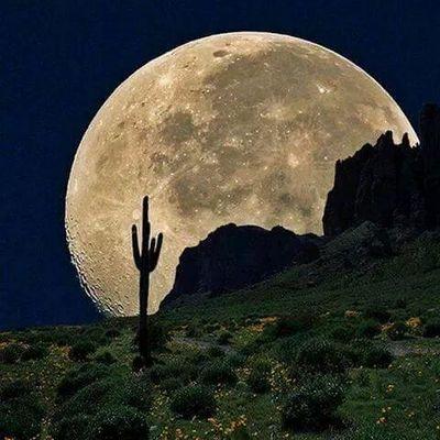 Profile Picture of Felipe Pascual Tomas (@cb65a696a4f74a2) on Twitter