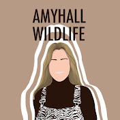 Profile Picture of Amy Hall Wildlife (@AmyHallWildlife) on Youtube