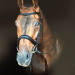 Profile Picture of Amanda Gillett (@amandajgillett2018) on Instagram