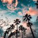Profile Picture of Lara Carroll (@carroll1066) on Pinterest