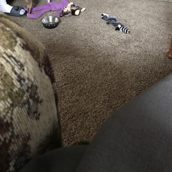 Profile Picture of Kerri Spidahl (@kerrispidahl) on Poshmark