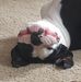 Profile Picture of Scott St Onge (@scott.stonge.10) on Facebook