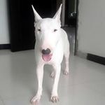 Profile Picture of Harold Anaya Gomez (@haroldanayagomez) on Instagram