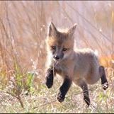 Profile Picture of David Hullum (@davidhullume) on Pinterest