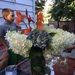 Profile Picture of Lisa Kovolesky Robertiello (@lisakovolesky) on Instagram