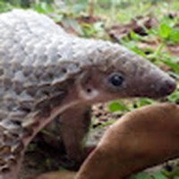 Profile Picture of Michael Cech (@michael-cech-2) on Quora