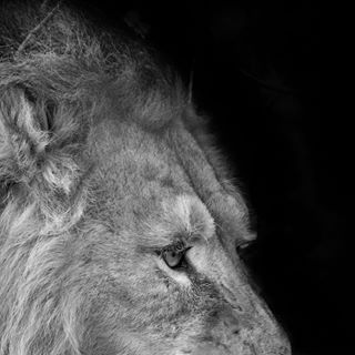 Profile Picture of Bob Hertz (@bob.hertz.102) on Facebook