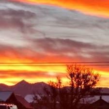 Profile Picture of Amy (@LycanTamer) on Twitter