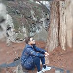 lauro moreno - Instagram Profile Picture of lauro moreno (@lauro5072) on Instagram