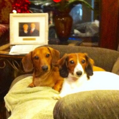 Profile Picture of Candy Watts (@canwatts) on Twitter