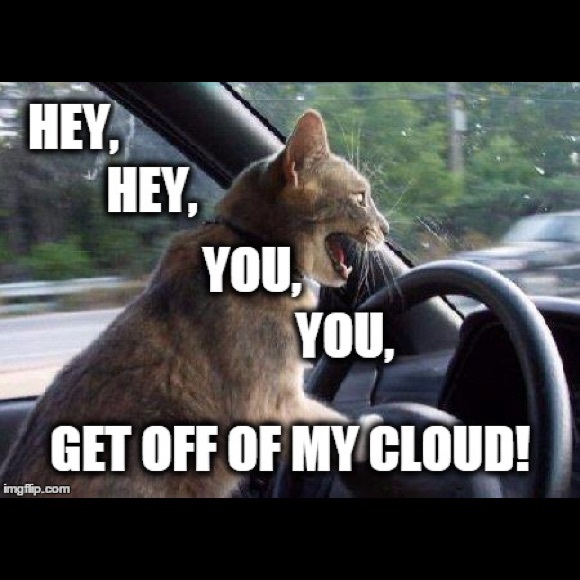 Profile Picture of Misty Lancaster (@darqebonmoon) on Poshmark