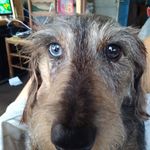 Profile Picture of Robert Orders (@ordersrobert) on Instagram