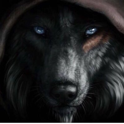 Profile Picture of Ernesto Ledesma (@Lobito08) on Twitter